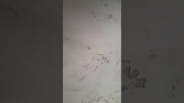 Бетон из дешевого плиточного клея смотреть онлайн