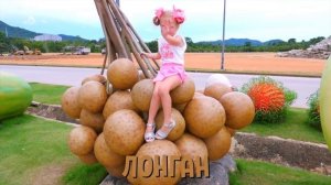 Учим названия экзотических фруктов