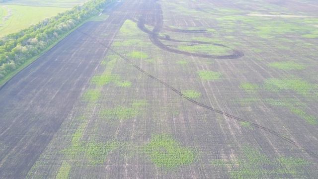 028-5 Реконструкция Михайловского района 27.05.2017 смотреть онлайн