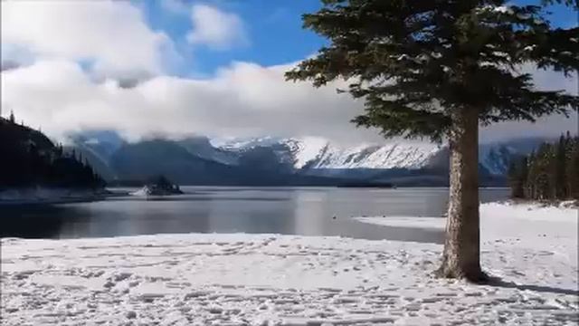 Пустила сына с невесткой в квартиру сестры, теперь не знаю что делать. Они весь ремонт ушатали! смотреть онлайн