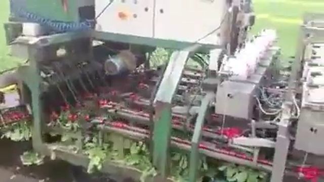 Как собирают редис смотреть онлайн