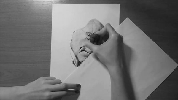 Стивен Кинг | Stephen King | Портрет угольным карандашом | Fox Art