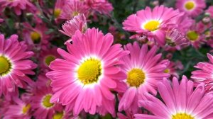 Место под солнцем 1 - 16 серии (сериал 2021)