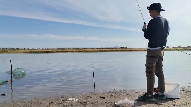 Разливы Или. Сазан, Амур, Змейголова, Судак, Карась, Лещ. #Fishing #рыбалка смотреть онлайн