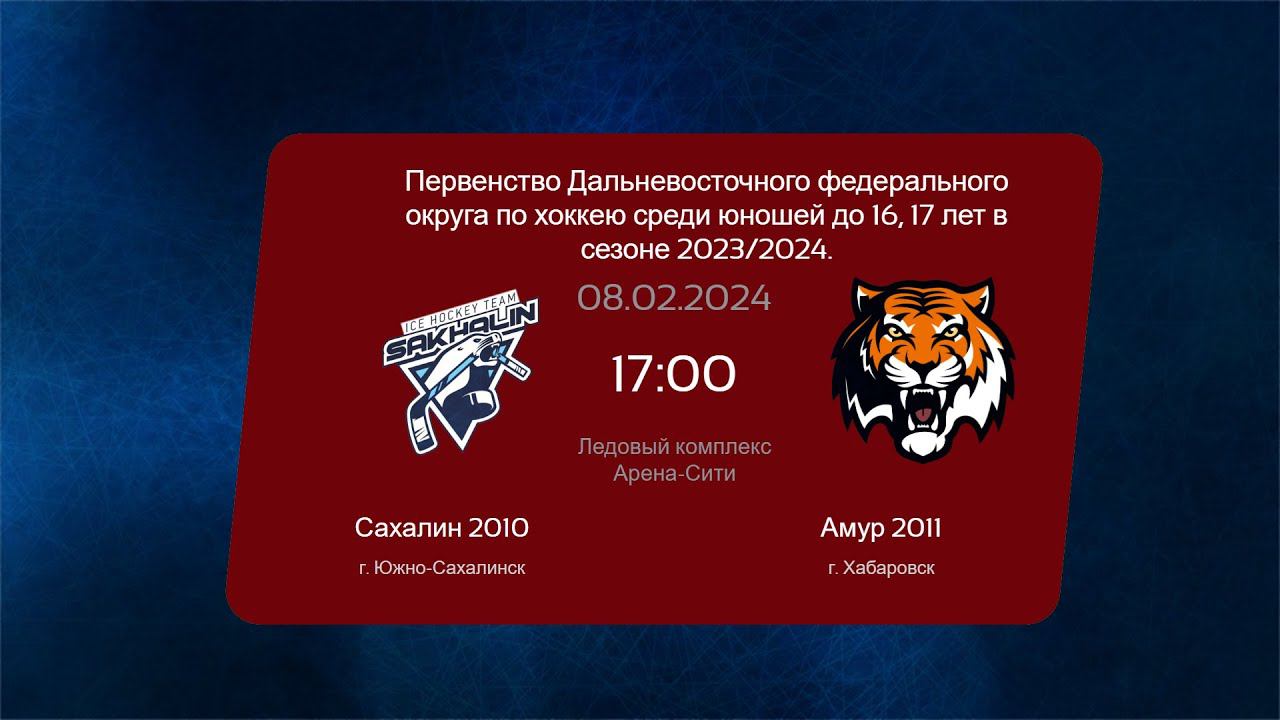 Хоккей, ДФО . "Сахалин 2010" - "Амур 2011". смотреть онлайн