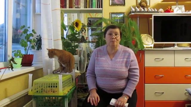 Моя добавка к пенсии, супер!!БИЗНЕС В ИНТЕРНЕТЕ С АЛЕЙ МУХОРТОВОЙ смотреть онлайн