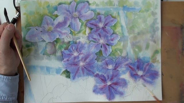 Clematis Part 3
