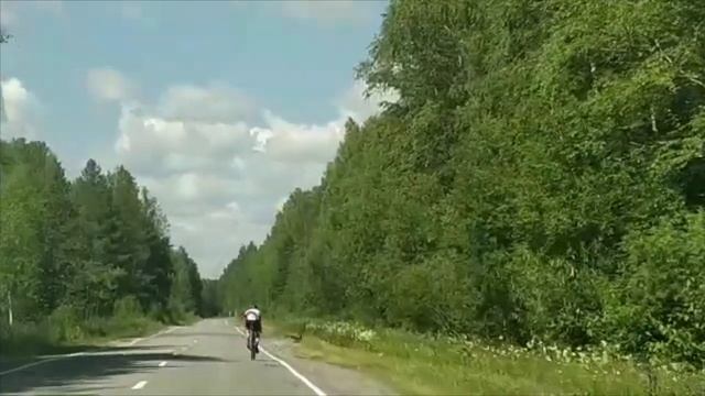 коршун с размерами смотреть онлайн