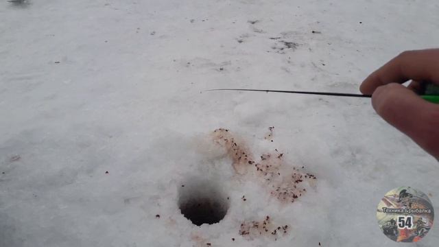 !!!рыбалка в криводановке 2024!!! и отдохнули...🙂 смотреть онлайн