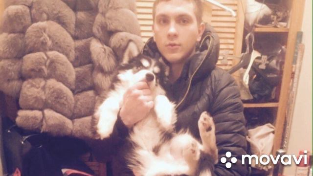 Сегодня было бы 26 лет.... Люблю. смотреть онлайн