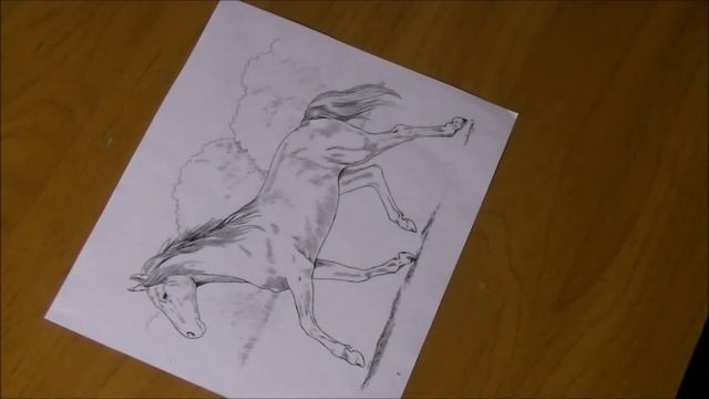 РАСКРАСКА В ЦВЕТЕ: масти лошадей. Часть 1 | Coloring horse coat colors. Part 1 смотреть онлайн