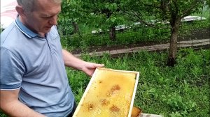 Как извлечь мед из засахаренных рамок.