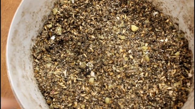 Начинающим куроманам. Комбикорм или мешанка? смотреть онлайн