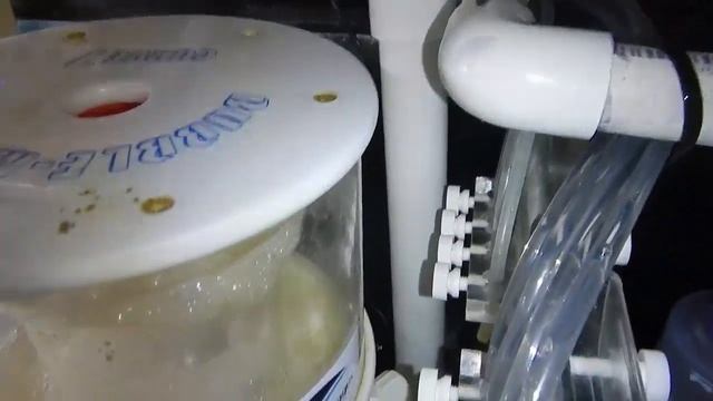 Adding Frag Tank To Main Display | Reef Tank смотреть онлайн