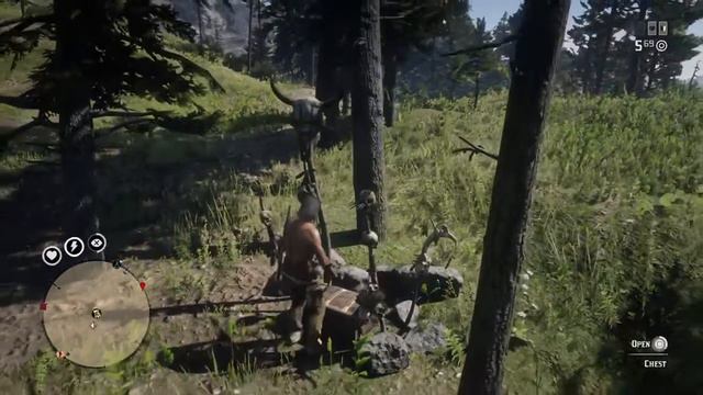 Red Dead Redemption 2 Online - Treasure Map - Level 55 Reward! Plus Ginseng Location