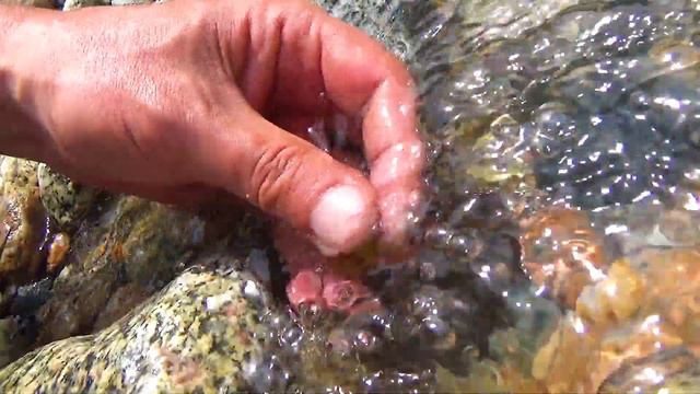 12 Помою золото в речке и посмотрю 4 смотреть онлайн