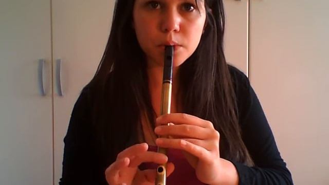 Medieval Medley - tin whistle смотреть онлайн