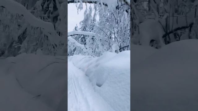 Пермский край, г.Красновишерск, гора Полюд. смотреть онлайн