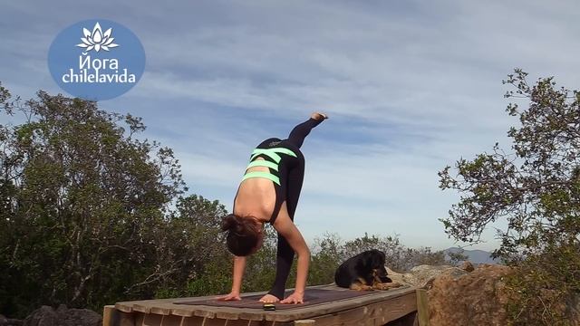 ЙОГА НА ВСЕ ТЕЛО. Йога для продолжающих. Йога chilelavida смотреть онлайн