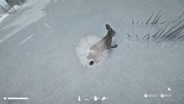 The Long Dark how To Kill a rabbit With a rock in the new update смотреть онлайн
