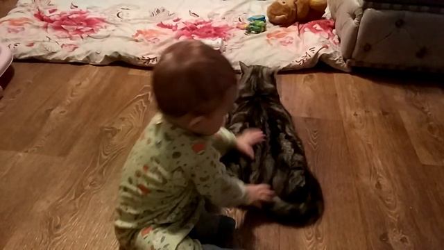 Малыш дёргает кошку за хвост, а она терпит смотреть онлайн