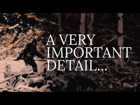 The Significance of the Patterson Gimlin Film & The Freeman Footage смотреть онлайн