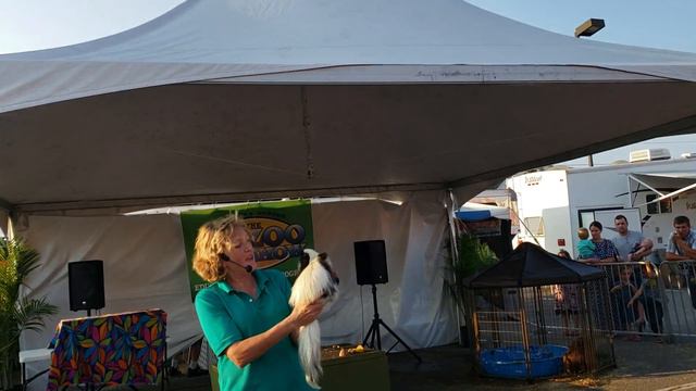 Zoo Show at Shady Maple - June 2 2018 Part 1 смотреть онлайн