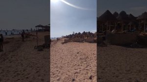 Едем на пляж Parrotel lagoon resort 5*. Египет. Шарм-эль-Шейх. Набк. Красное море 31 декабря 2023.