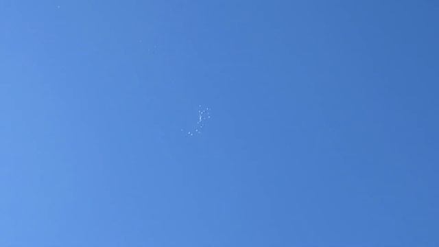 Пермские ижевские Чистопольские голуби смотреть онлайн