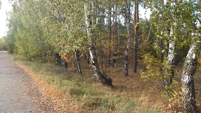 Поворотный день в метало командировке. Коп металлолома смотреть онлайн