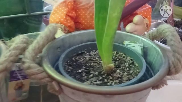 обзор поделок ручной работы? смотреть онлайн