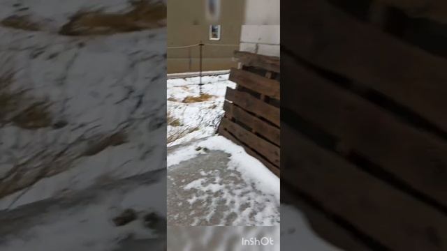 новая усмань спортивная 33 смотреть онлайн