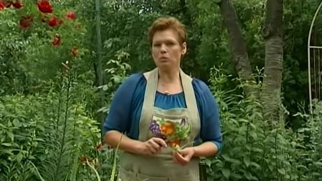 Чудодейственные свойства алоэ - Удачный проект - Интер смотреть онлайн