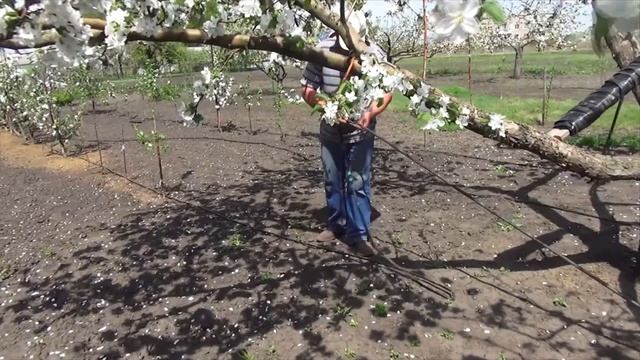 Система орошения Капельный полив смотреть онлайн