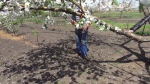 Система орошения  Капельный полив