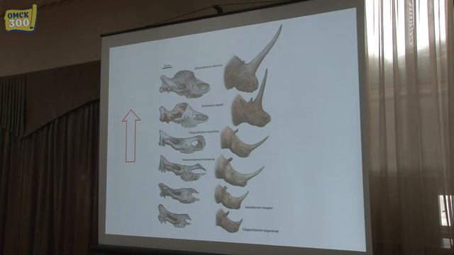 03.11.2020 г. Заседание ОРО ВОО «Русское географическое общество» смотреть онлайн