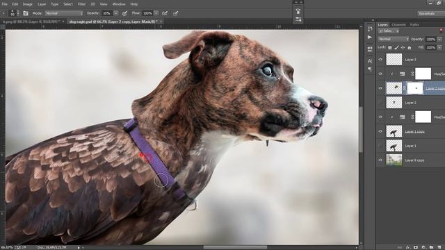 Advance Photoshop Manipulation Tutorial Eagle Dog смотреть онлайн