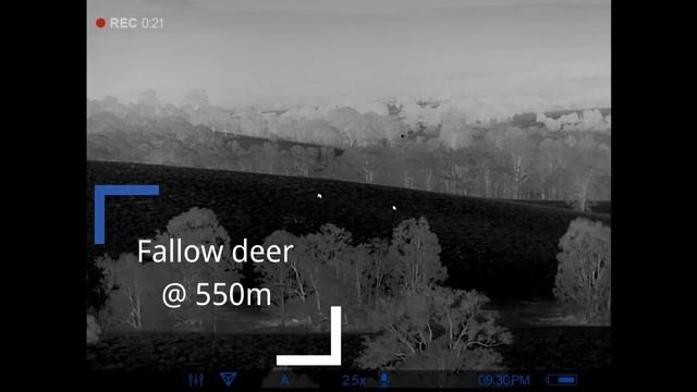 Pulsar Helion 2 XP50 Pro Review & User Impressions смотреть онлайн