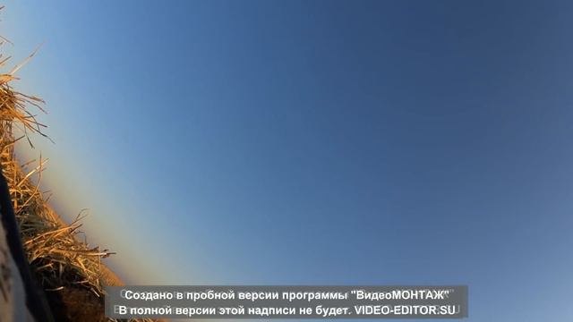 Охота на гуся и утку в Казахстане смотреть онлайн