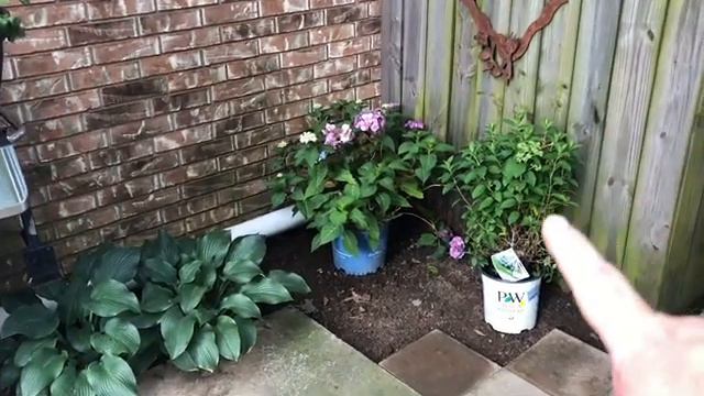 Creating a new flower bed! My process for garden design. смотреть онлайн