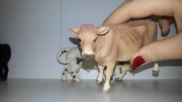 Обзор коллекции коров смотреть онлайн