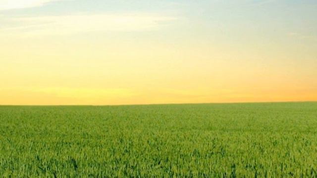 юлия рузанова смотреть онлайн