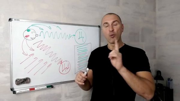 Почему я УМНАЯ, а живу как ДУРА?