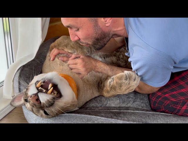 Почти смертельный номер! Месси был очень терпелив к своему хозяину смотреть онлайн