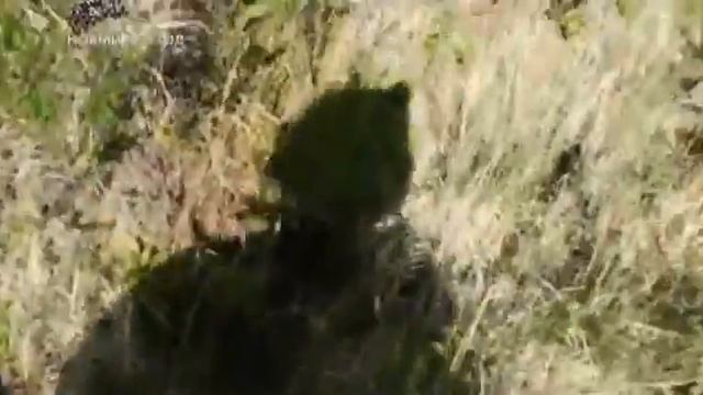 Один на один с природой 2 Высадка в Юконе смотреть онлайн