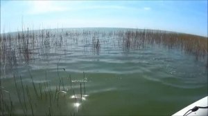 оз. Сартлан! Сазан с лодки!