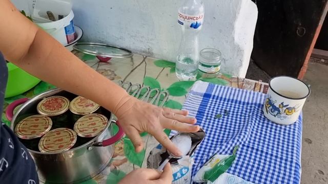 Шпинат консервированный на зиму, Рецепт шпината на зиму смотреть онлайн