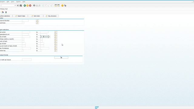 Эффективная работа с вариантами отчетов в SAP для начинающих смотреть онлайн