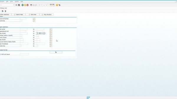 Эффективная работа с вариантами отчетов в SAP для начинающих