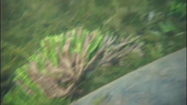 Брошенные рыболовные сети — одна из главных угроз для любого водоема смотреть онлайн